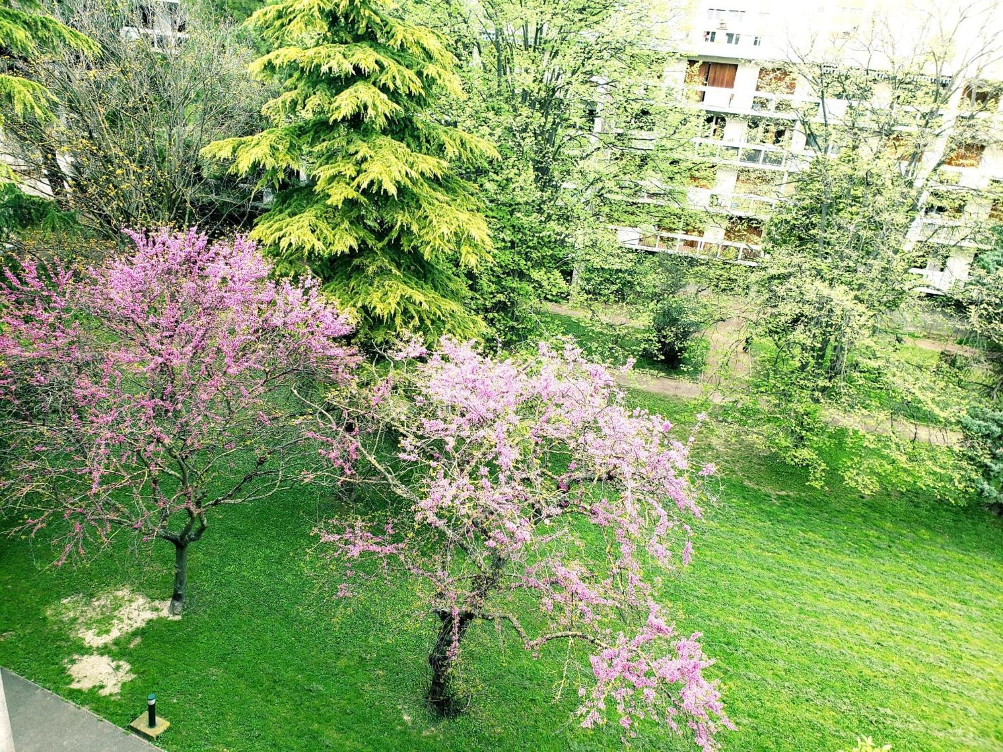 Suite From 1 To 6 - Bathtubs In Rooms - Air Conditioned Residential Appartement - Self-Arrival - Wifi - Netflix Disney - Kitchen - Laundry - Parking Avignon Exterior photo